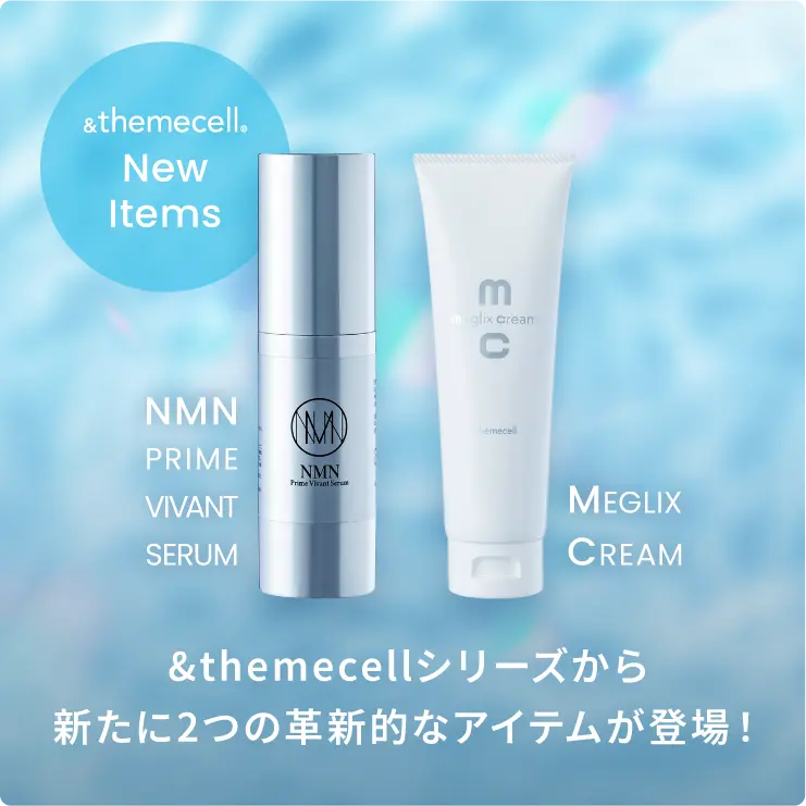 新たに2つの革新的なアイテムが登場！