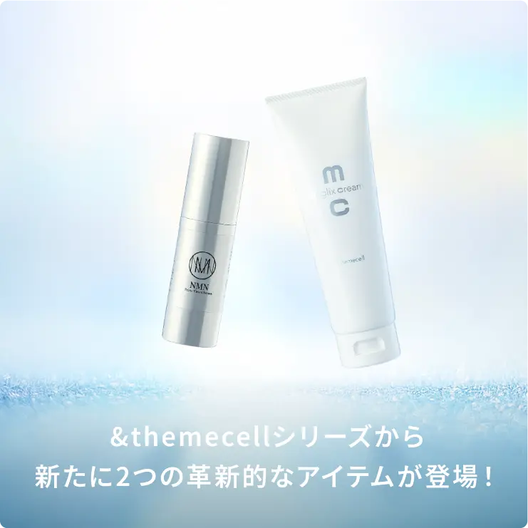 E.MIRAIオンラインショップ